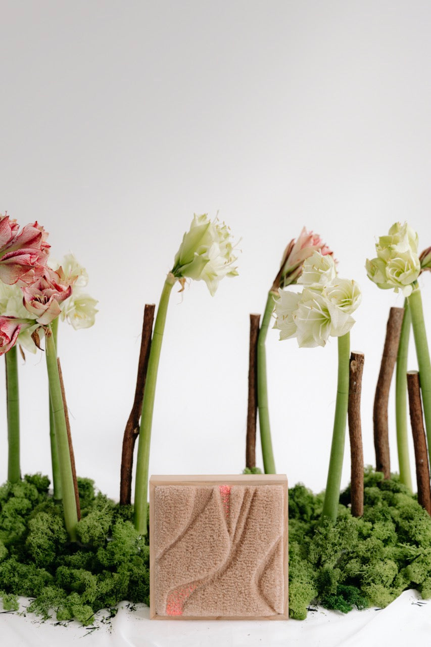 Opera tessile incorniciata di Ilary Bottini circondata da fiori bianchi e rosa su uno sfondo bianco